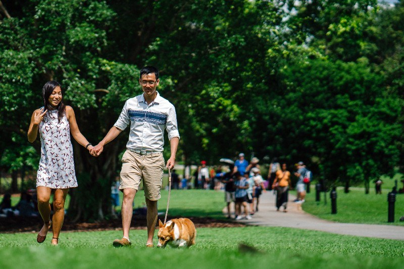 The 4 Best Neighborhoods in Tampa for Dog Lovers