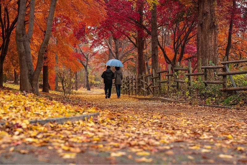 The Most Walkable Suburbs of DC (in Virginia)