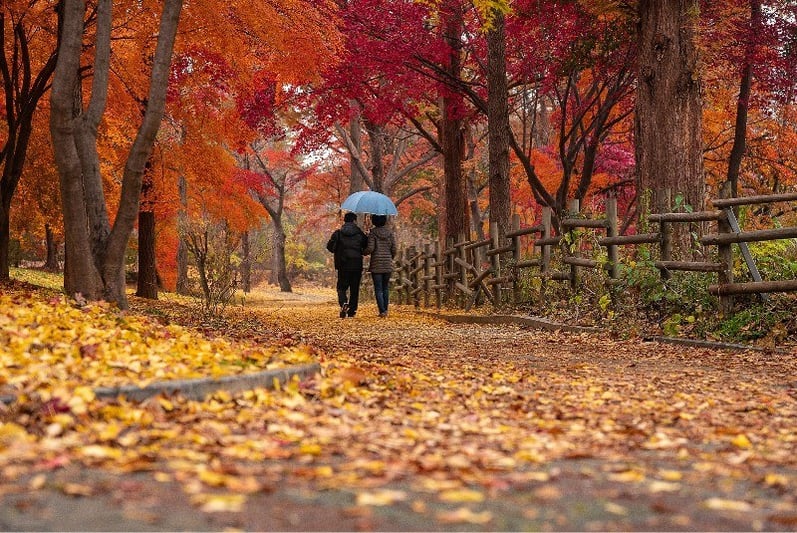 The Most Walkable Suburbs of DC (in Virginia)